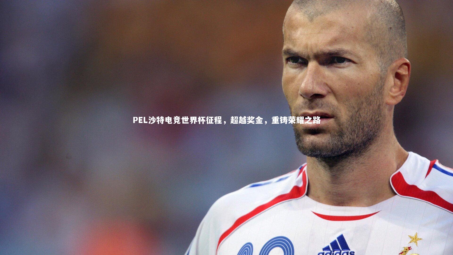 fb体育官网_PEL沙特电竞世界杯征程，超越奖金，重铸荣耀之路