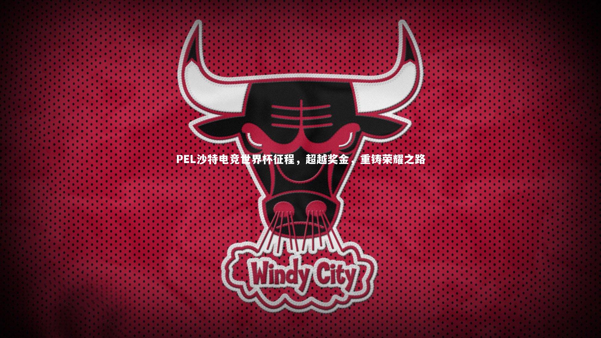 PEL沙特电竞世界杯征程,超越奖金,重铸荣耀之路